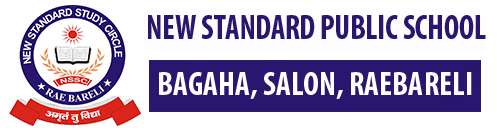NEW STANDARD GROUP
 OF 
SCHOOLS & COLLEGES